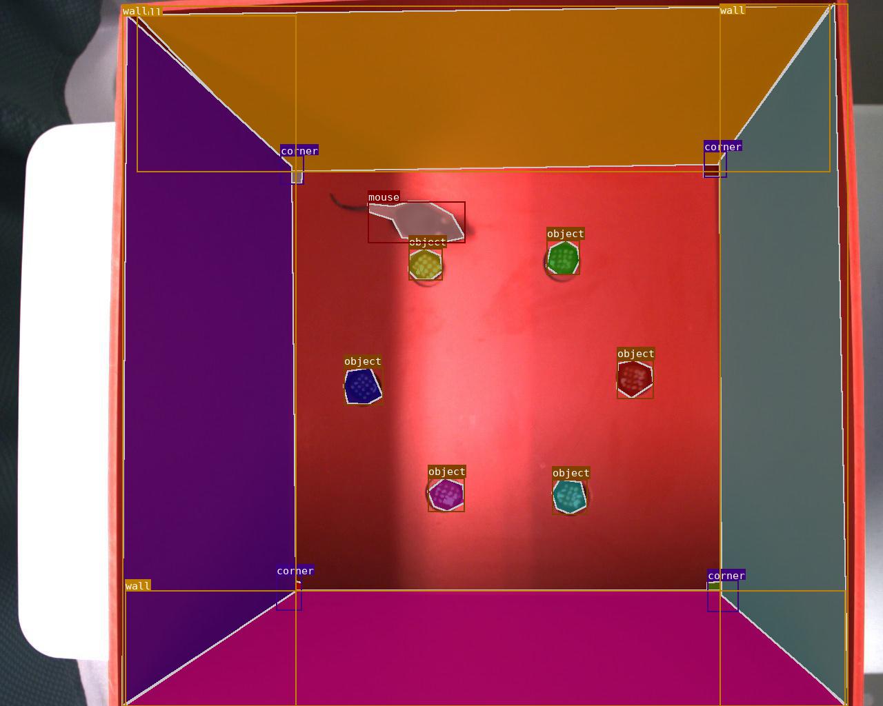 Visualization